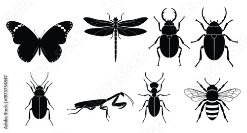 Insect icon set butterfly dragonfly beetle mantis ant bee bug black white vector web ui