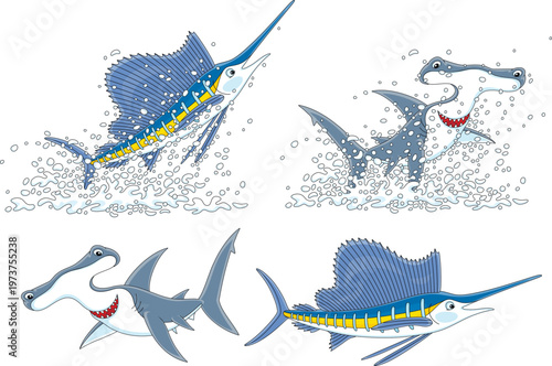 Large marine swordfish and hammerhead shark in splashes, jumping out of water and swimming in a tropical sea, a set of vector cartoon illustrations isolated on a white background