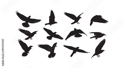 Elegant black swan silhouettes gracefully gliding across a serene water surface