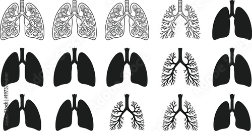 Human lungs icon set with detailed anatomy and silhouette variations respiratory system medical vector illustration