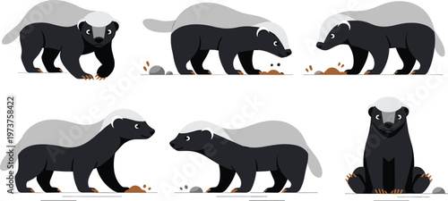 Flat Vector Illustration Set of Honey Badgers in Various Poses Digging and Walking for Wildlife Nature Design Projects Creative Animal Graphics and Minimalist Biology Educational Art Materials.