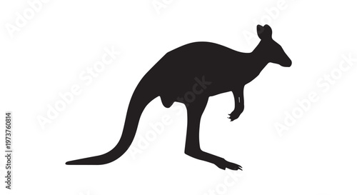 Graceful silhouette of a black horse galloping under the open sky