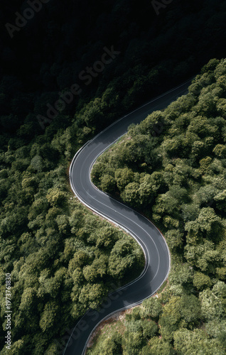 Serpentine asphalt road curves gently through lush green forest of coniferous trees