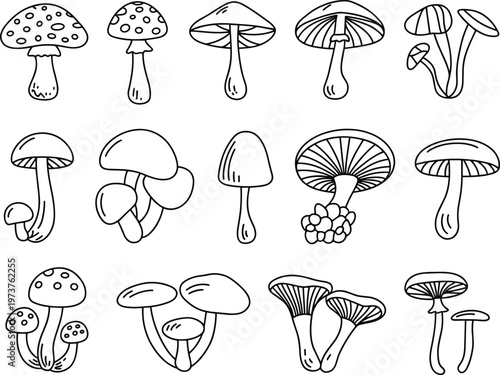 hand drawn mushroom illustration set, black and white fungi collection, doodle style botanical clipart, various toadstools shapes isolated on background