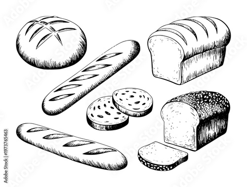 Hand drawn of various baked bread types including loaves baguettes and sliced bread