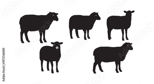 A herd of four black cattle grazing peacefully under a clear sky during dusk or dawn