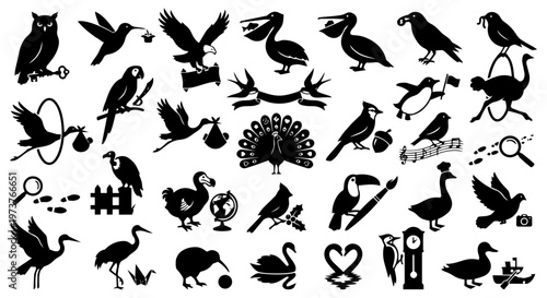A comprehensive collection of diverse bird silhouettes, showcasing various species and their interactions with objects, perfect for educational and design projects.