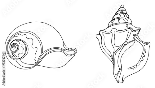 Quadro su tela Sea shells and sacred conch shankha in clean minimalist line art style