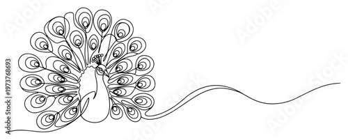 Peacock bird with beautiful feathers spread in continuous line art style