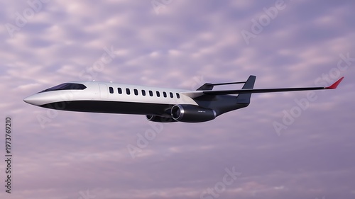 Private jet, business aircraft, white and black plane, flying high, luxury travel