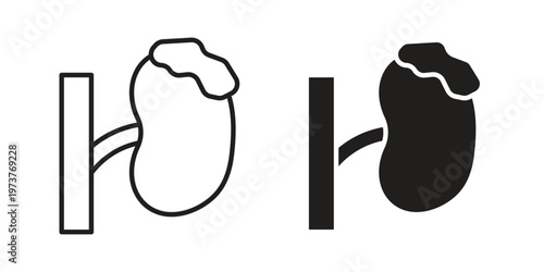 Adrenal gland icon set. black Illustration for graphic and web design.