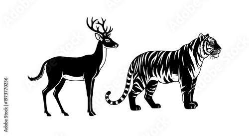 Black horse and zebra standing side by side silhouette illustration