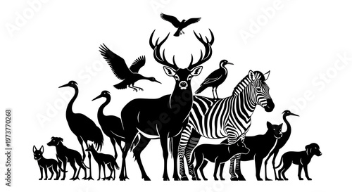 Colorful animal collection vector illustration with deer horse zebra and birds