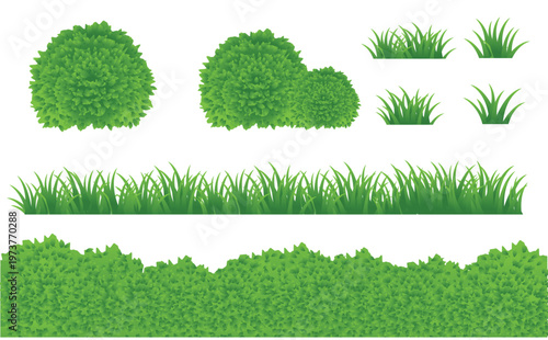 set of green grass and bushes