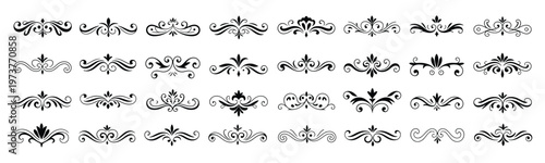 elegant black seamless floral and paisley pattern vector illustration set