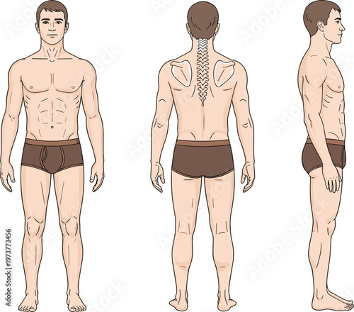 Male fashion technical sketch of man in underwear featuring front back and side views of human body croquis template for apparel tech pack design