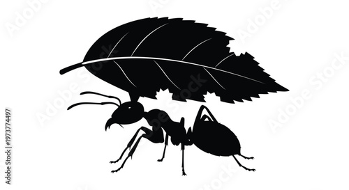 Ant carrying a large leaf on its back in minimalist black silhouette