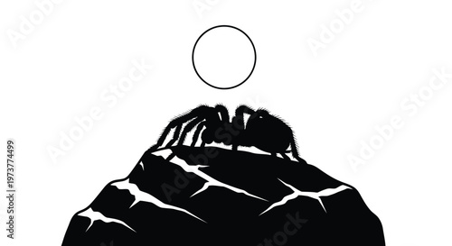 Large spider sitting on top of rocky mountain peak against full moon