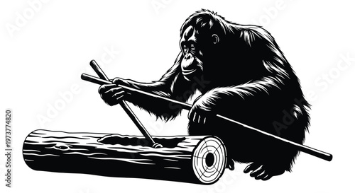 Orangutan using tool to hunt for food in log black and white vector