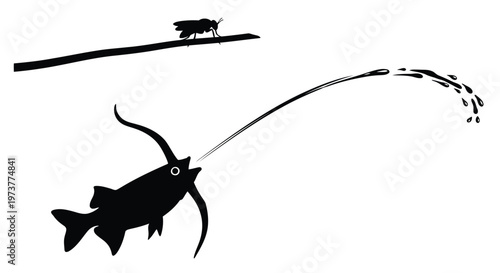 Archer fish spitting water to knock down insect black and white vector