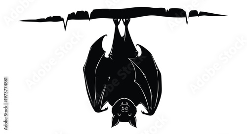 Bat hanging upside down from tree branch black and white silhouette