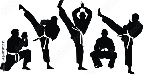 Martial arts silhouettes set with karate fighters performing kicks poses training combat sport action vector illustration collection