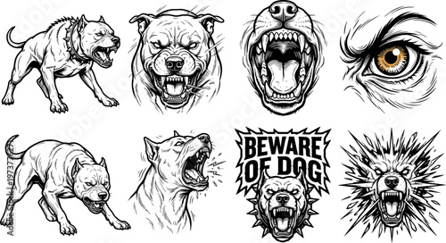 Dynamic black and white vector illustrations depict aggressive pitbull dogs snarling, barking, and standing guard, including a 'beware of dog' sign, on a clean background.