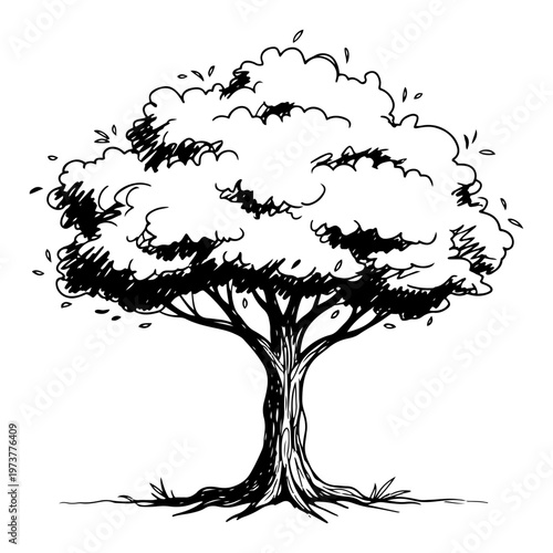 Large deciduous tree with leafy canopy and thick trunk in hand drawn sketch style