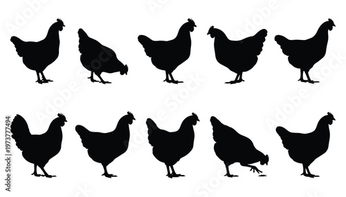 Minimalist black silhouettes of chickens in varied poses, standing and pecking, perfect for farm animal vector stock art