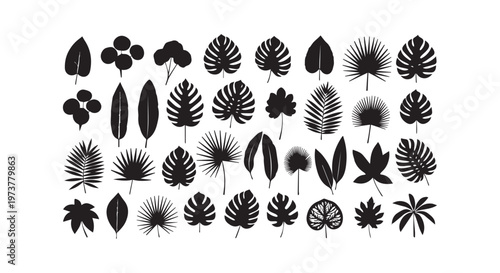 Ancient Egyptian hieroglyphs carved on stone tablets depicting symbols of life, divinity and royal power