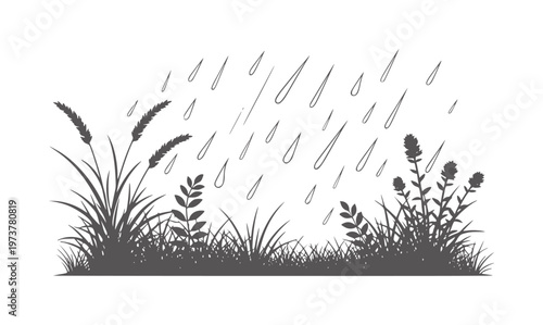 Dark silhouette of grass and plants during a rain shower