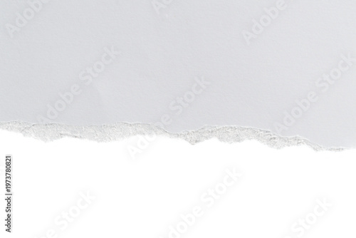 Realistic torn paper edge. Ripped paper mockup isolated on transparent background. Horizontal piece of white rip paper strip. message template, text, Design elements, PNG