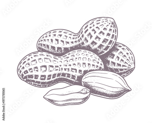 Pile of peanuts in shells and shelled nuts legume