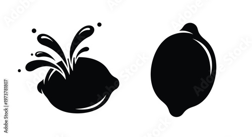 Black lemon with splash and whole fruit stylish silhouette on transparent background