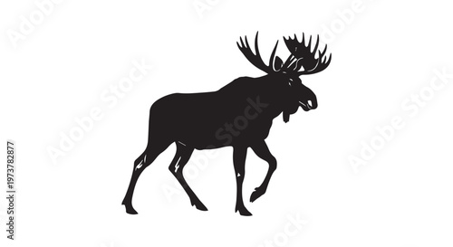 A majestic black horse with a flowing mane and tail galloping under a starry night sky