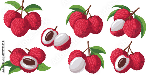 Large collection of fresh red lychee fruit vectors featuring whole bunches with green leaves and peeled halves showing white pulp and seeds.Large collection of fresh red