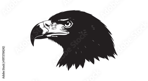 The majestic black crow soaring through the sky with its powerful wings spread wide