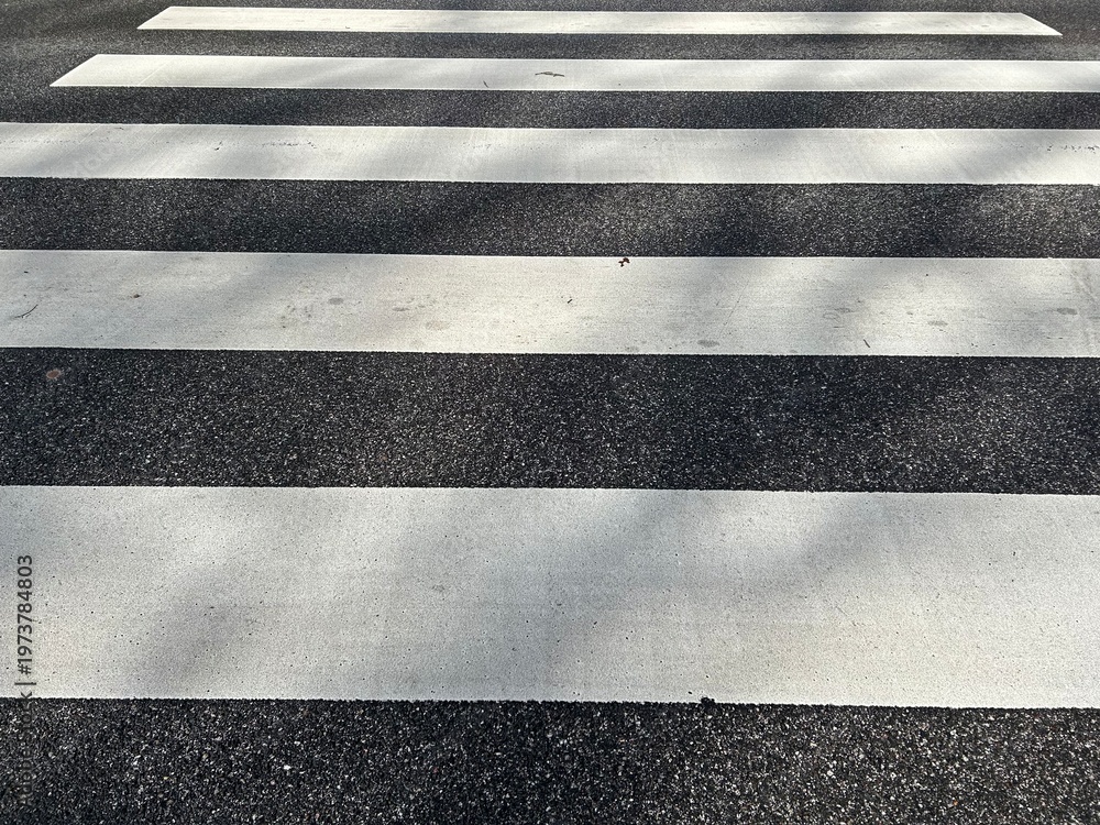Fototapeta premium Pedestrian crossing close-up