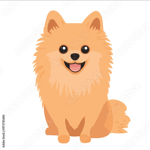 simple vector Pomeranian clipart illustration white background vector art style simple design flat illustration no shadows