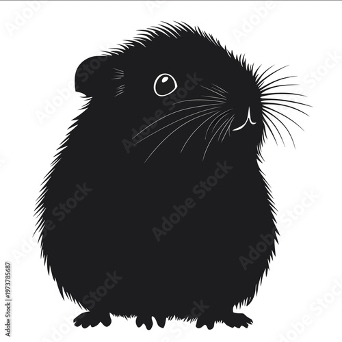 black silhouette guinea pig on a white backgrounk vector