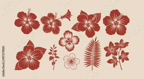 Set of hand drawn tropical hibiscus flowers and palm leaves silhouettes in terracotta color style.