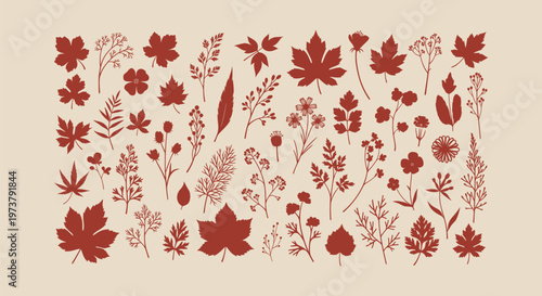 Minimalist Terracotta Plant Silhouettes Set: Vintage Botanical Elements for Autumn Floral Design.