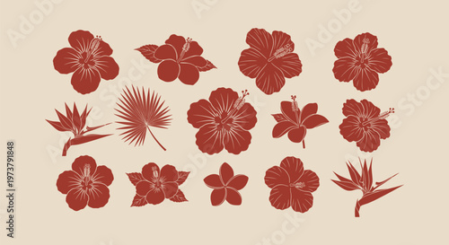Tropical Hibiscus Flowers and Exotic Leaves Silhouette Collection Vector Illustration Set for Design