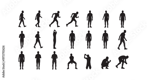 Skeletons in anatomical positions illustrating human bone structure and joint alignment