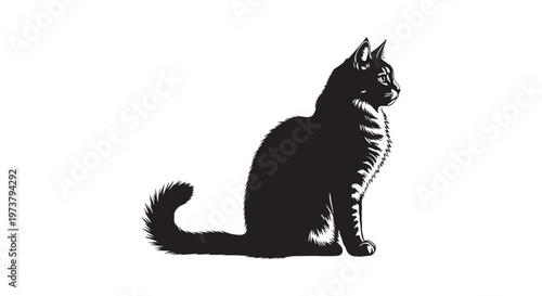 A sleek black cat sitting elegantly with its tail wrapped around its paws in a minimalist drawing style
