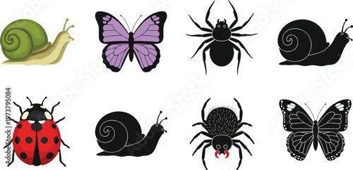 Collection of insects including ladybug, butterflies, spiders and snails.