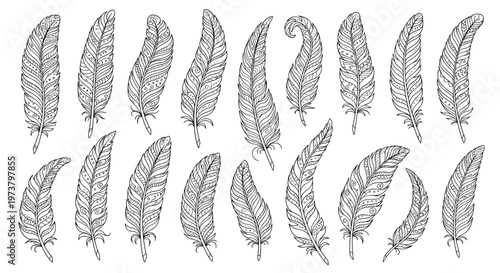 Detailed set of hand drawn black and white feathers featuring diverse intricate patterns and textures for rustic design projects.