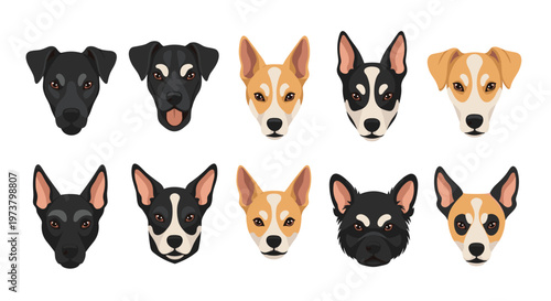 Set of ten various dog breed face icons in a clean flat vector style showing different colors and facial markings.