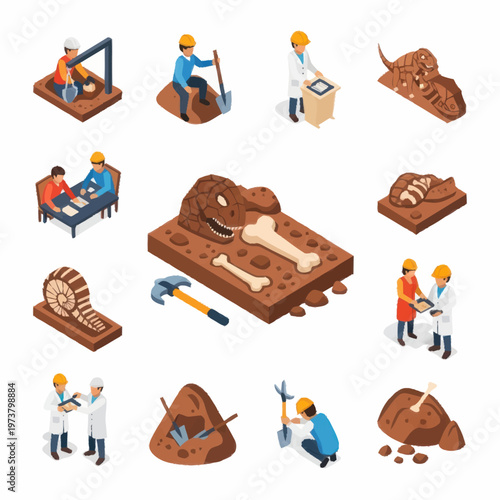 People working with dinosaur bones fossils.