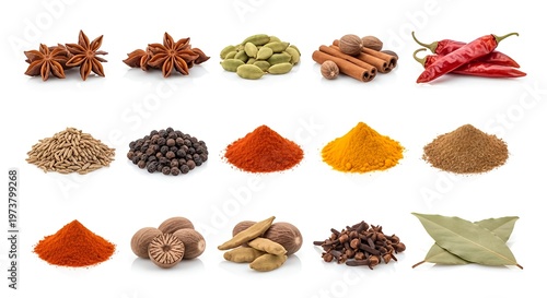 Variety of whole and ground spices arranged in rows on a white background for culinary use